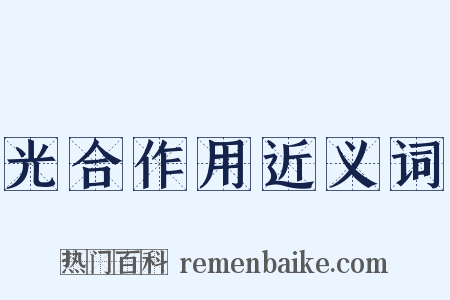 光合作用近义词是什么意思的图片